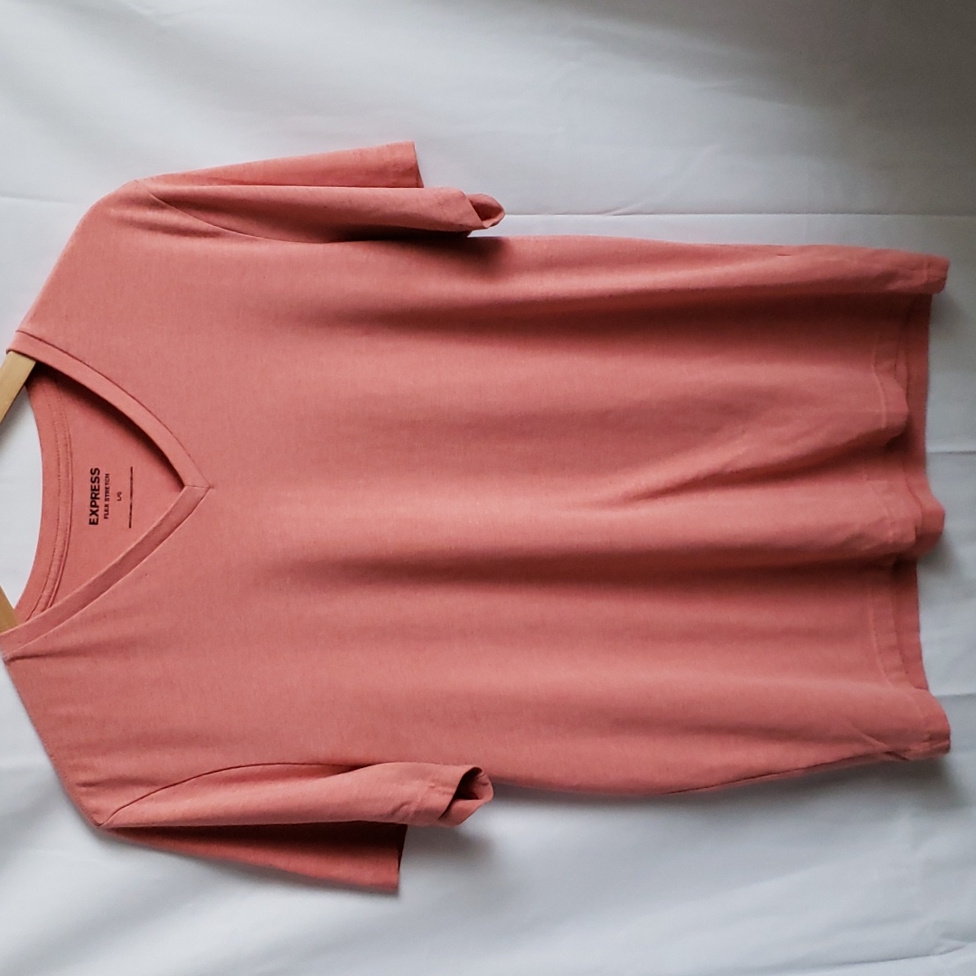 Express V-Neck Basic Tee